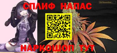 стаф Кунгур
